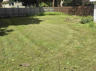 Frank D.'s Lawn Service service result