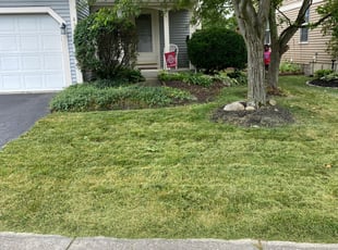 Bush Trimming by Ralphiel Hughley for Kelly G. in Columbus, OH