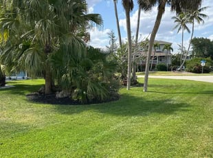 Cole G.'s Yard Cutting service result