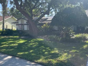Jody D.'s Lawn Maintenance service result