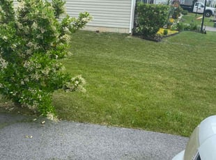 Christine P.'s Lawn Mowing service result