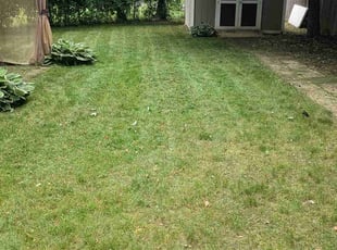 Jenna B.'s Yard Cutting service result