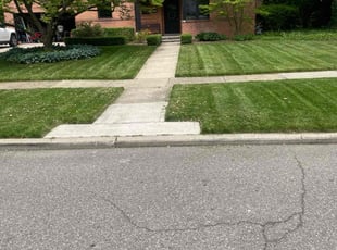 Lee W.'s Lawn Service service result