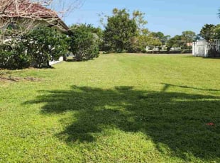 Claudia H.'s Grass Cutting service result