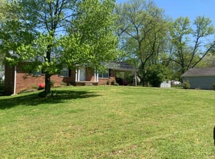 Frank C.'s Grass Cutting service result
