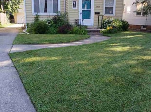 Jean W.'s Lawn Care service result