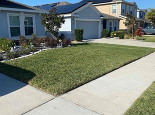 Myrtle H.'s Yard Cutting service result