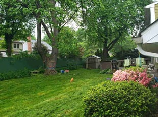 Randall K.'s Lawn Mowing service result