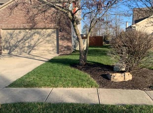 JAMES H.'s Lawn Mowing service result