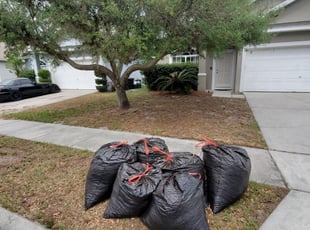 Leaf Removal by Anthony Thompson for Ann C. in Winter Park, FL