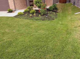 Angela J.'s Grass Cutting service result
