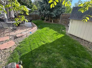 LuAnn P.'s Lawn Service service result