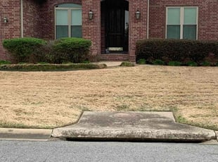 Cleanups by Octavius Croston for Alexandra S. in Little Rock, AR