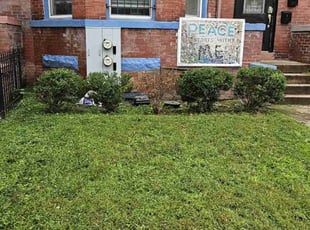 Bush Trimming by James Mckenzie for Semhar Y. in Washington, DC