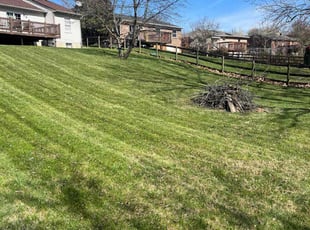 Alicia R.'s Lawn Maintenance service result