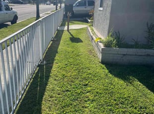 Jeannette H.'s Lawn Care service result