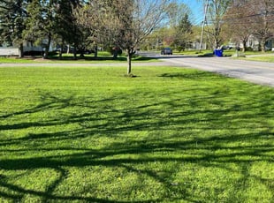 Nancy C.'s Yard Cutting service result