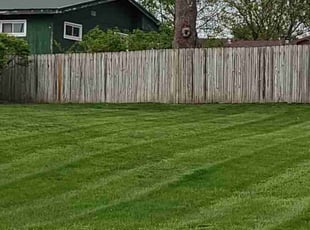 Amy S.'s Grass Cutting service result