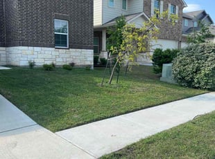 Sara W.'s Lawn Care service result