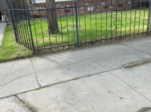 Michael H.'s Lawn Care service result