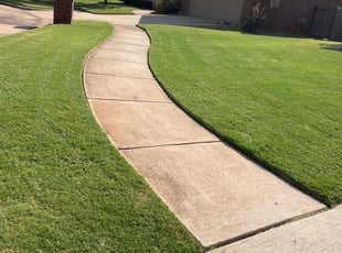 Alex W.'s Lawn Care service result