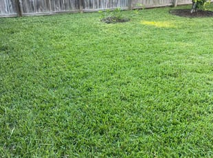 Susan M.'s Lawn Mowing service result