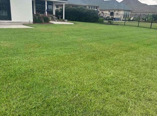 Lauren U.'s Lawn Mowing service result