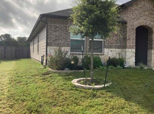 Shelly D.'s Grass Cutting service result