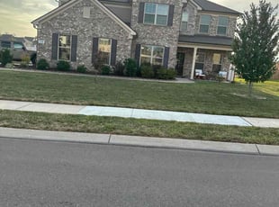 De D.'s Lawn Mowing service result