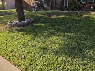 Claven W.'s Lawn Care service result