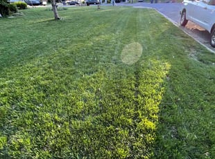 Robert H.'s Lawn Care service result