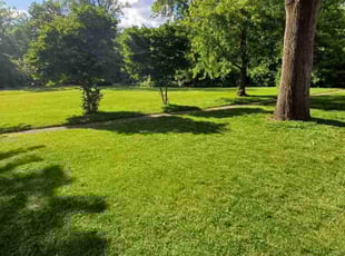 Richard R.'s Lawn Mowing Service service result