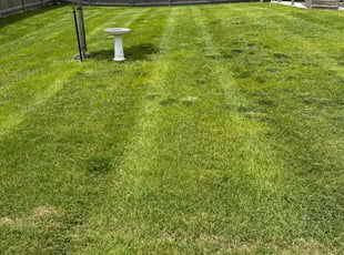 Joyce H.'s Yard Cutting service result