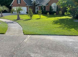 Dani D.'s Lawn Service service result