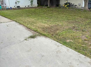 Victor Y.'s Lawn Mowing service result