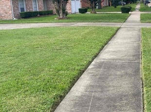 Ron K.'s Lawn Mowing service result