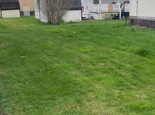 Deborah W.'s Lawn Service service result