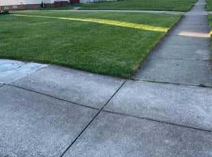 Laverne M.'s Lawn Mowing service result