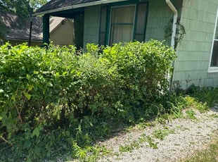 Bush Trimming by Tim Kirkpatrick for Christina A. in Kansas City, KS