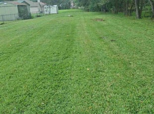 Renee I.'s Lawn Mowing Service service result