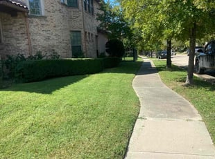 Daniel A.'s Lawn Service service result