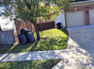 Leaf Removal by Rómulo González for Billy V. in Fort Washington, MD
