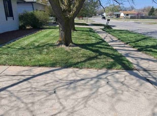 Christina R.'s Lawn Care service result