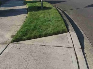 Norman R.'s Lawn Mowing Service service result