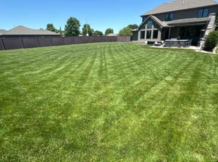 Anoh K.'s Lawn Maintenance service result