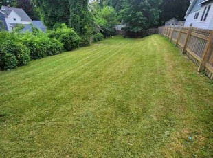 Robert C.'s Lawn Service service result