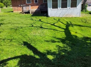 Ryan J.'s Lawn Care service result