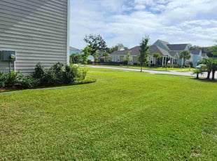James P.'s Yard Cutting service result