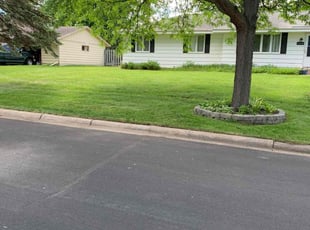 Lauren S.'s Lawn Care service result