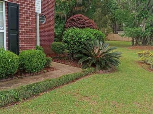 Bush Trimming by Jason Hughes for Ryann H. in Savannah, GA